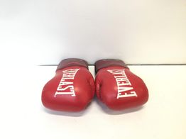 guantes everlast ever shield