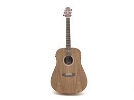 guitarra acustica ashton d20eqov