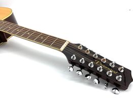 guitarra ac&uacute;stica briarwood acoustics ydr-112