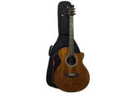 guitarra acustica brunswick btk50