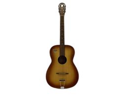Guitarra Acustica Eko Guitars p2