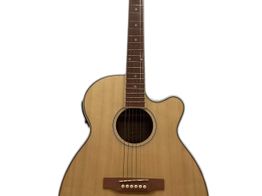 guitarra acustica epiphone pr-4e