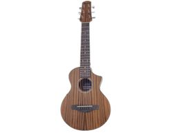 guitarra acustica ibanez ewp12ewb-opn