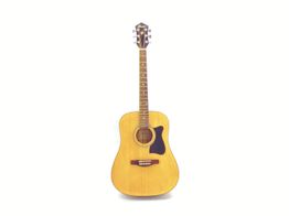 guitarra acustica ibanez v50njp-nt