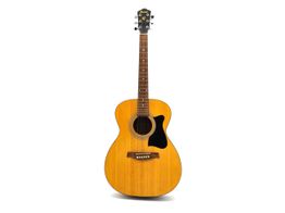 guitarra acustica ibanez vc50njp-nt