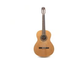 guitarra acústica jose torres jtc-10