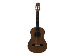guitarra acustica marce p1