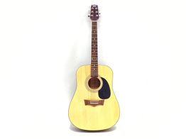 Guitarra Acustica Peavey agp6