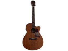 guitarra ac&uacute;stica richwood a50-ce