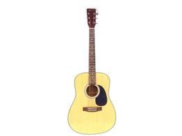 guitarra acustica rochester a-60n