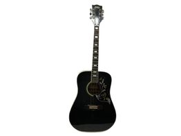 guitarra ac&uacute;stica shiro sw 20b