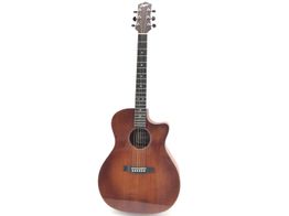 guitarra acustica stanford studiog66sm