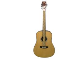 Guitarra Acustica sx sx Acu