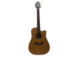 guitarra acustica takamine eg-100