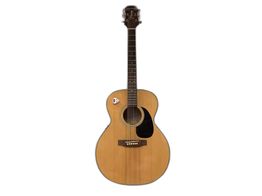 guitarra acustica takamine eg-230