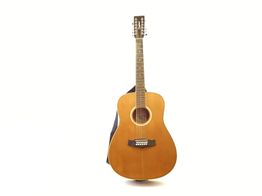 guitarra ac&uacute;stica tanglewood tw28/12