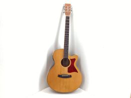 guitarra ac&uacute;stica tanglewood winterleaf tw9 ns