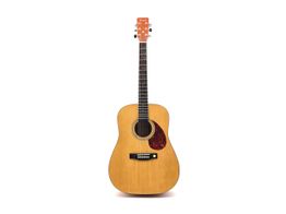 Guitarra Acustica Tenson Dreadnought d1