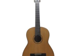 guitarra acustica toledo cst44-nts
