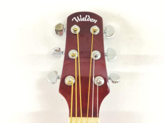 guitarra ac&uacute;stica walden d350/w