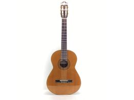 guitarra clasica admira virtuoso