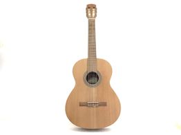 guitarra cl&aacute;ssica alhambra college