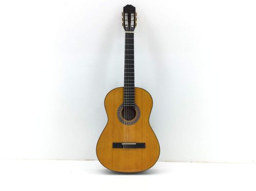 guitarra clasica carmen c425