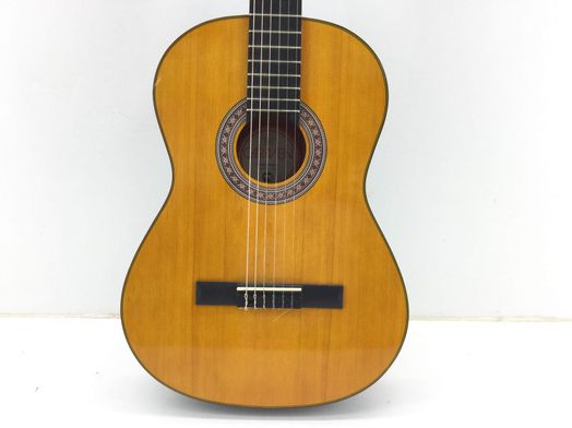 guitarra clasica carmen c425