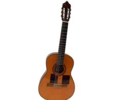 Guitarra Clasica Casa Parramon Sin Modelo