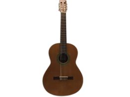 guitarra clasica paco castillo 9042