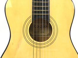 guitarra clasica rocio c7n
