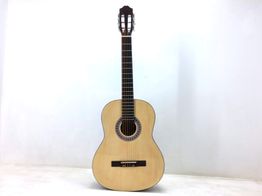 Guitarra Clasica Rocio r10n