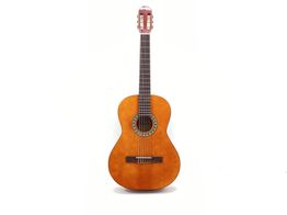 guitarra clasica sonora sgn-450