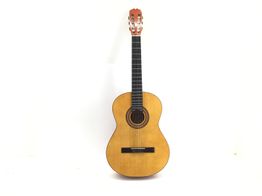 guitarra clasica sonora sgn-450