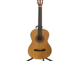 guitarra clasica sonora sgn-450