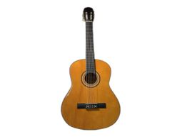 guitarra clasica soundstation toledo