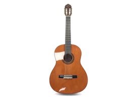 guitarra clasica valencia cg160