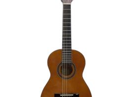 guitarra clasica valencia vc101  1/4