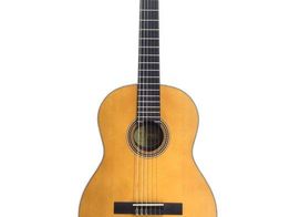 guitarra clasica valencia vc274