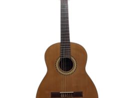 guitarra cl&aacute;ssica camps m1
