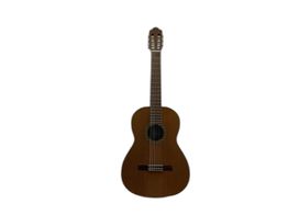 guitarra cl&aacute;ssica esteve 1
