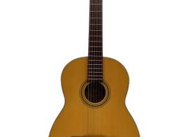 guitarra clasica fender esc-110 ns