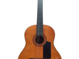 guitarra clasica giannini start startone