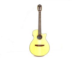 guitarra cl&aacute;ssica ibanez aeg50n-nt