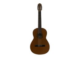 guitarra clássica raimundo 106