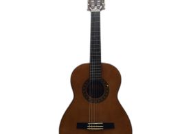 guitarra clássica valencia cg160