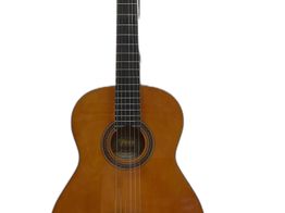 guitarra cl&aacute;ssica valencia vc204