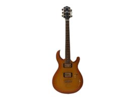 guitarra electrica alden sn
