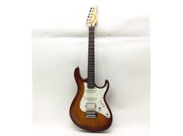 Guitarra Electrica Cort g250