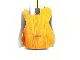 guitarra el&eacute;trica harley benton te52